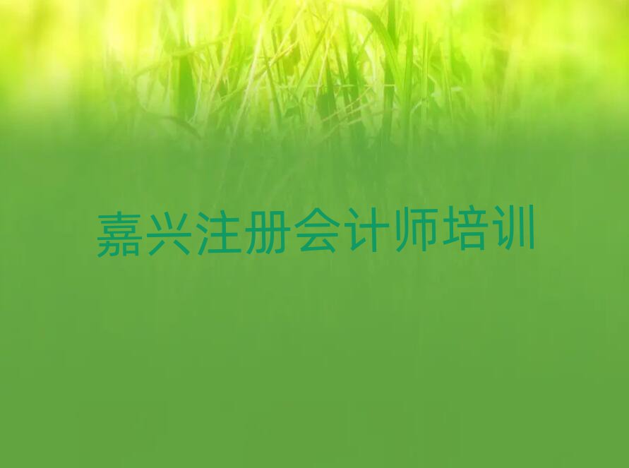 嘉興什么學(xué)校學(xué)注冊(cè)會(huì)計(jì)師好十大排行