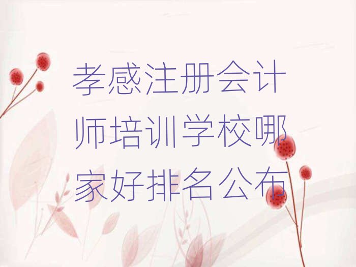 孝感注冊會計師培訓學校哪家好排名公布