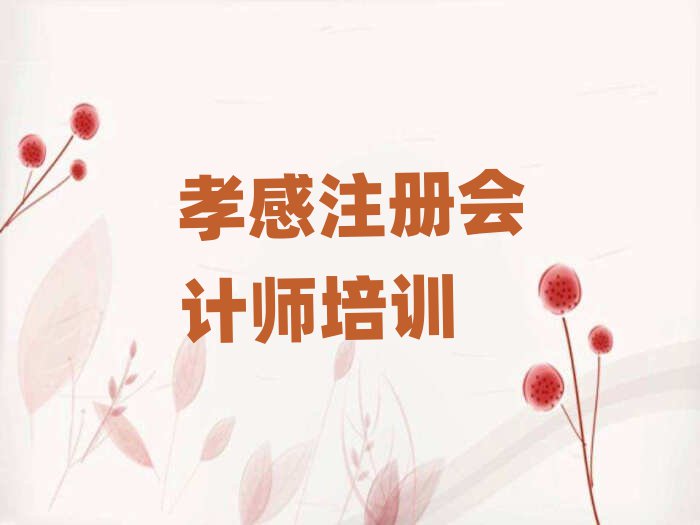 孝感注冊會計師培訓學校哪家好排名公布