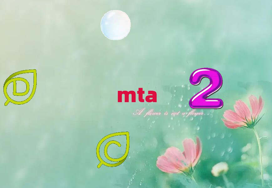 2019W(xu)MTAԇrg